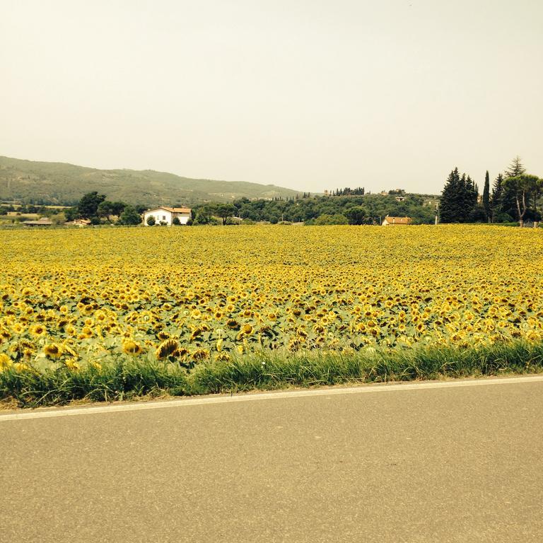 Tre Girasoli Monte San Savino Buitenkant foto